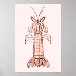 Lobster Poster ~ Rock Lobster