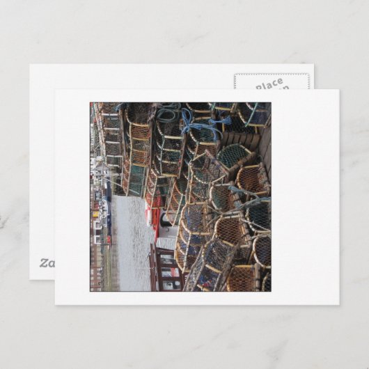 Lobster Pots Briefkaart (Voorkant / Achterkant)