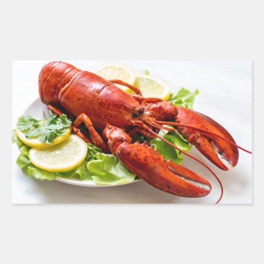 Lobster Rechthoekige Sticker (Voorkant)
