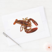 Lobster Rechthoekige Sticker (Envelop)