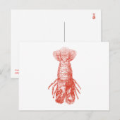  Lobster Scyllarus Arctus Briefkaart (Voorkant / Achterkant)