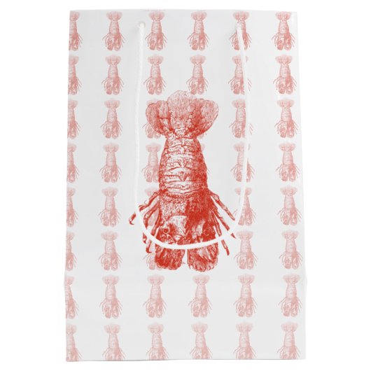  Lobster Scyllarus Arctus Medium Cadeauzakje (Achterkant)