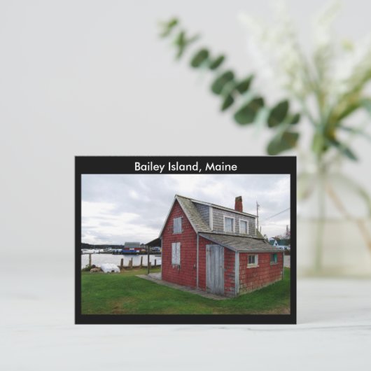 Lobster Shack, Bailey Island, Maine Briefkaart (Staand voorkant)