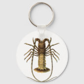  Lobster Sleutelhanger (Voorkant)