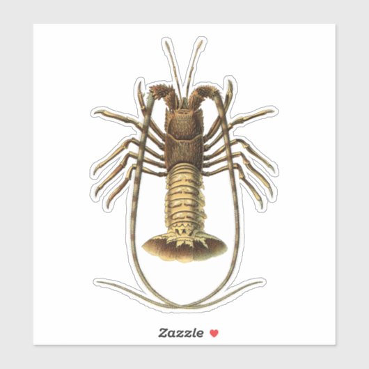  Lobster Sticker (Vel)