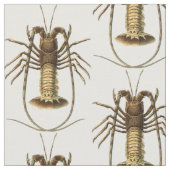  Lobster Stof (Close Up)