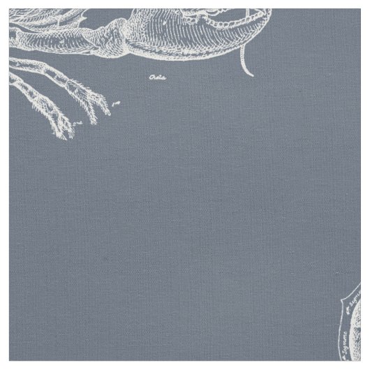 Lobster Stof (Close Up)