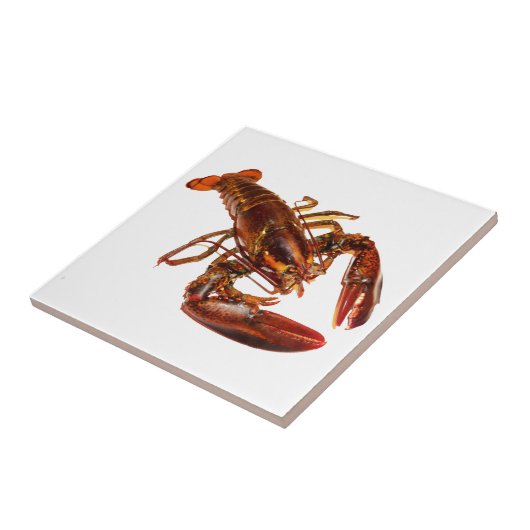 Lobster Tegeltje (Zijkant)