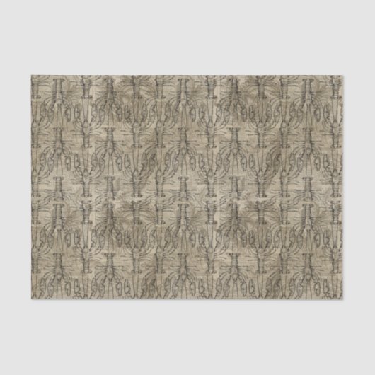 Lobster Tissuepapier (Voorkant)