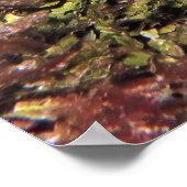 Lobster Trio Poster (Hoek)