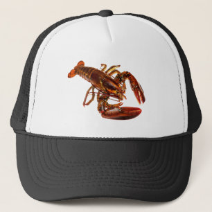 Lobster Trucker Pet