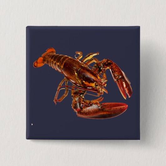 Lobster Vierkante Button 5,1 Cm (Voorkant)