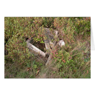 Lobsterman's box en bobber, Maine, Verenigde State