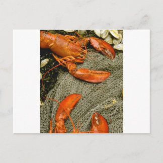Lobsters Briefkaart