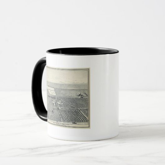 Locan Vineyard, Fresno Mok (Voorkant links)