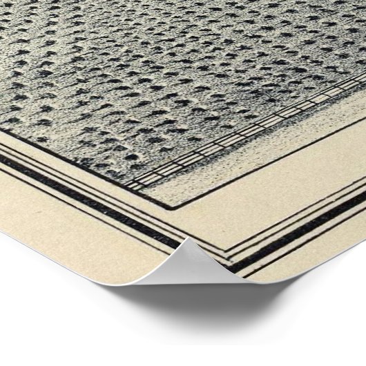 Locan Vineyard, Fresno Poster (Hoek)