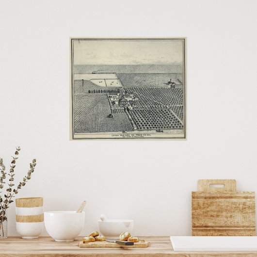 Locan Vineyard, Fresno Poster (Keuken)
