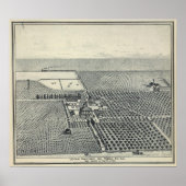 Locan Vineyard, Fresno Poster (Voorkant)