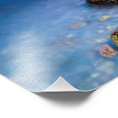 Loch Fyne, Scotland Photo print Foto Afdruk (Hoek)