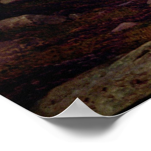 Loch Katrine Poster (Hoek)
