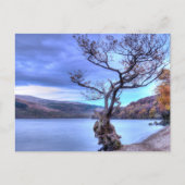 Loch Lomond, Schotland Briefkaart (Voorkant)
