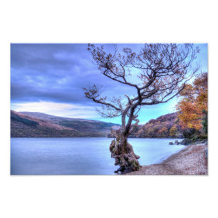 Loch Lomond, Scotland Photo print Foto Afdruk