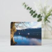 Loch Lomond, Tarbet, Schotland Ansichtkaart Briefkaart (Staand voorkant)