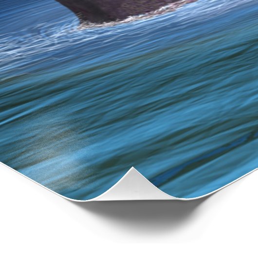 Loch Ness 2 Perfect Poster (Hoek)