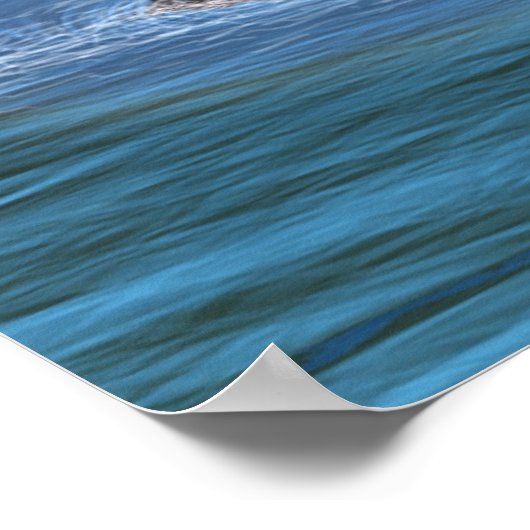 Loch Ness 2 Poster (Hoek)