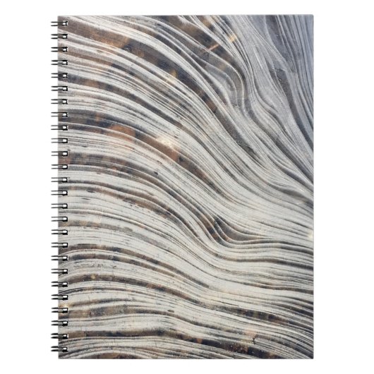 Loch Ness Ice-laptop Notitieboek (Voorkant)