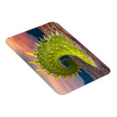 Loch Ness Monster Magneet (Rechterzijde)