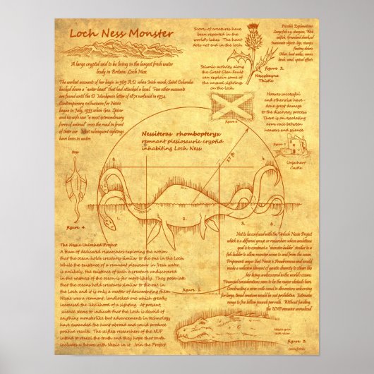 Loch Ness Monster - Vitruvian Style Poster (Voorkant)
