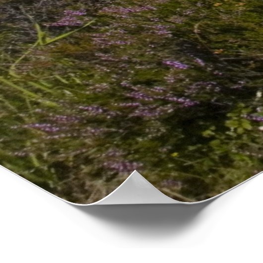 Loch Tulla Poster (Hoek)