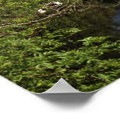 Lochay Killin Scotland Poster (Hoek)