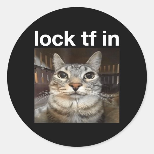 Lock TF in kattenmeme Ronde Sticker (Voorkant)