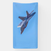 Lockheed Martin F-22A Raptor Spandoek (Verticaal)