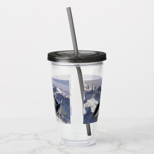 Lockheed SR-71B Blackbird Acryl Drinkbeker (Links)