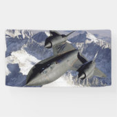 Lockheed SR-71B Blackbird Spandoek (Horizontaal)