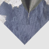 Lockheed SR-71B Blackbird Tissuepapier (Detail)