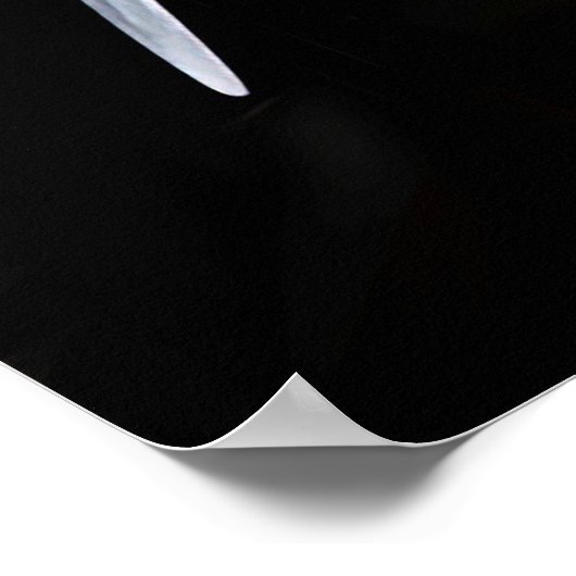 Lockheed Vega 5B, Amelia Earhart Poster (Hoek)