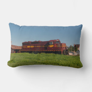 Locomotief 312 van de Waaier van het Ijzer van Kussen