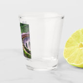 Locomotieftrein op brug shot glas (Rechts)