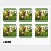 Locust Country Square Glossy Sticker (Vel)