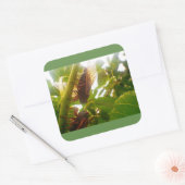 Locust Country Square Glossy Sticker (Envelop)