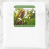 Locust Country Square Glossy Sticker (Tas)