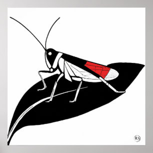 Locust op een blad - Archival Art Print