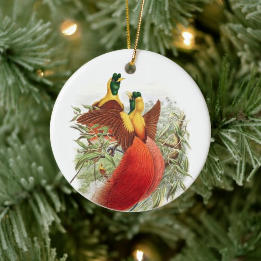 Loddigesia Mirabilis Keramisch Ornament (Boom)