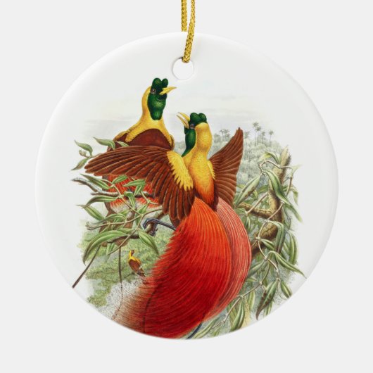 Loddigesia Mirabilis Keramisch Ornament (Voorkant)