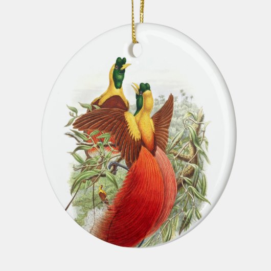 Loddigesia Mirabilis Keramisch Ornament (Links)