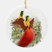 Loddigesia Mirabilis Keramisch Ornament (Achterkant)